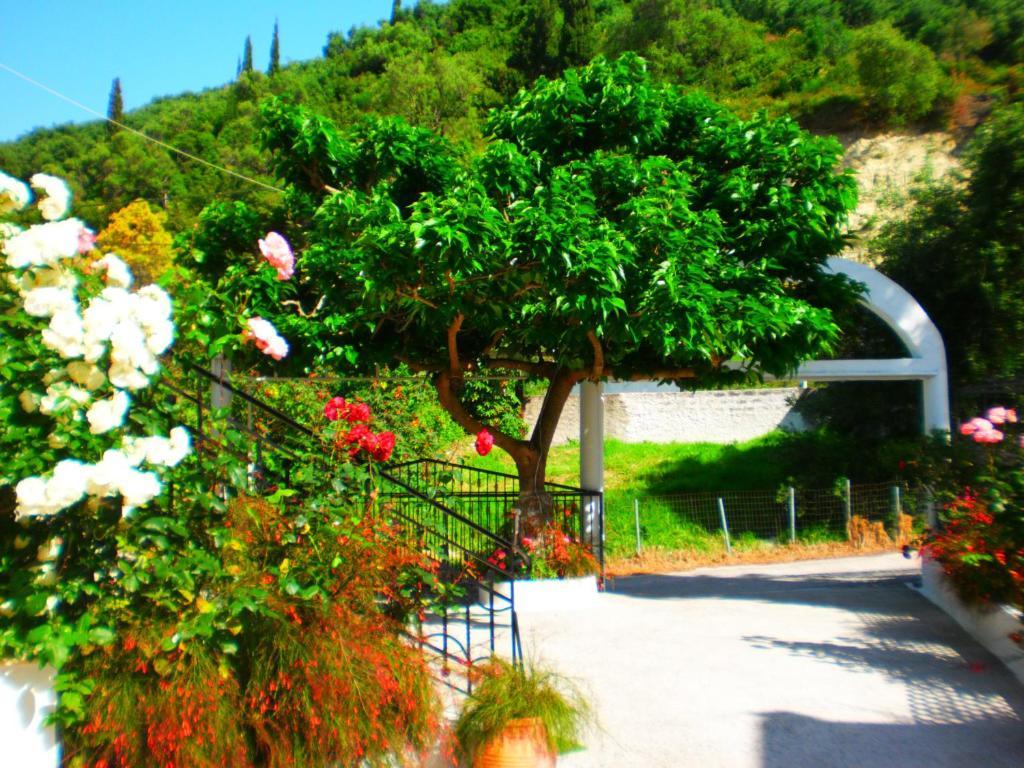 Oasis Otel Parga Dış mekan fotoğraf